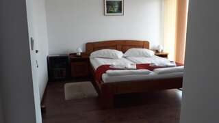 Отели типа «постель и завтрак» Casa Irinella Сату-Маре Стандартный номер с кроватью размера "king-size"-2