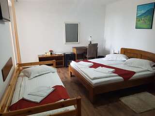 Отели типа «постель и завтрак» Casa Irinella Сату-Маре Трехместный номер-8